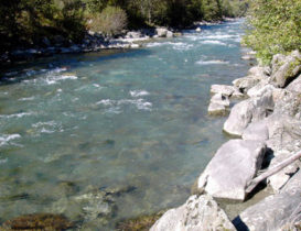 Schwarzach - Revier Pension Dorfwirt - fischen2 - 5