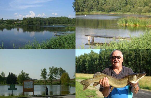 Gemeindeteich Franzen - fischteich franzen - 1 Gemeindeteich Franzen