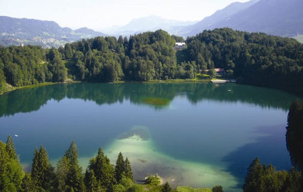 Freibergsee - freibergsee - 1 Freibergsee