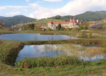 Pabstinteich beim Stift St. Lamprecht