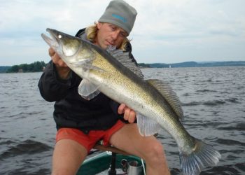 Moldaustausee – Vodi Nadrz Lipno