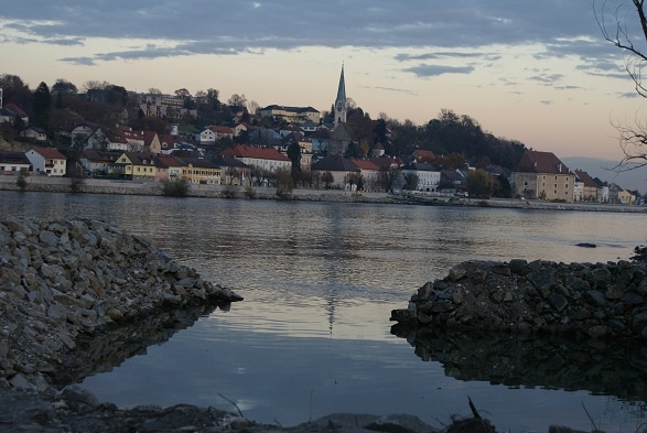 Angeln am Donau Wiesinger Wasser Enns