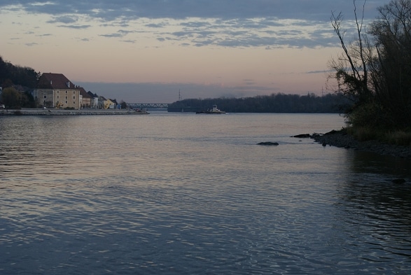 Angeln am Donau Wiesinger Wasser Enns