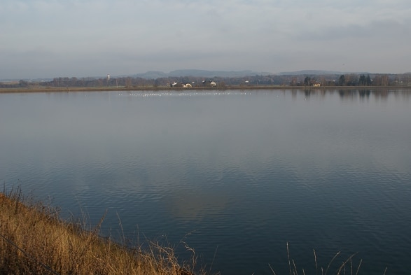 Enns Thalinger Stausee