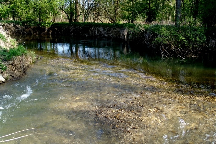 Krems - Mündung in die Traun