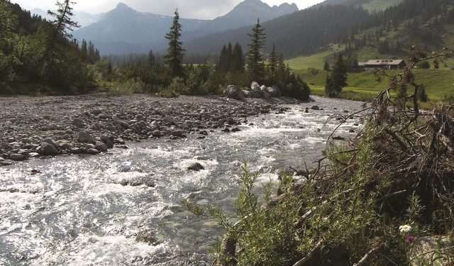 Lechbach bei Lech a. Arlberg