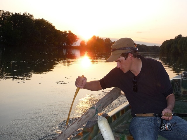 mit dem Wallerholz fischen am Donaudelta