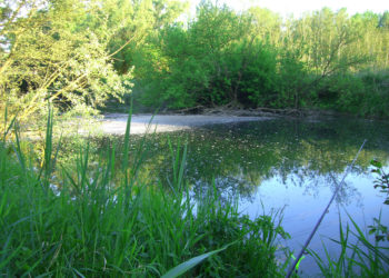 Leitha A I/3 - mitterwasser 4 - 1