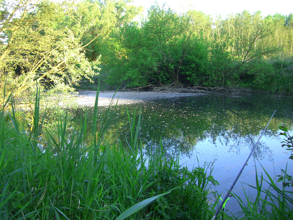 Donau Abwinden Asten Mitterwasser