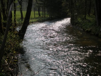 Goiserer Mühlbach 