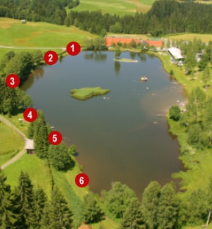 Foto mit Angelplätzen am Lauchsee