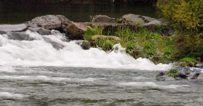 Preuwitz an der Traisen - preuwitz 09 - 1