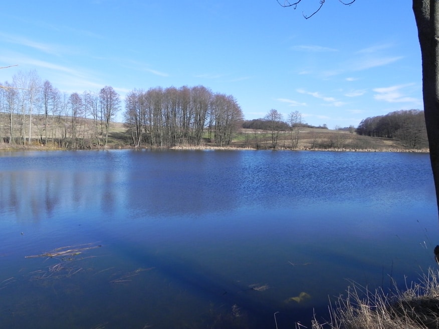 Rastbachteich bei wunderbarem Wetter