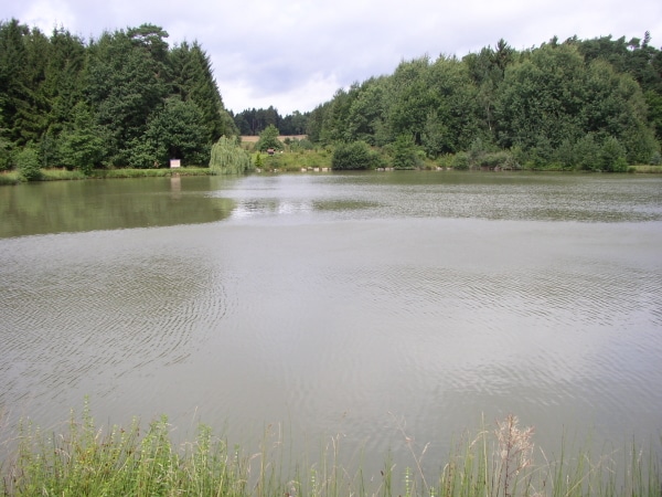 Rudolzteich fischen