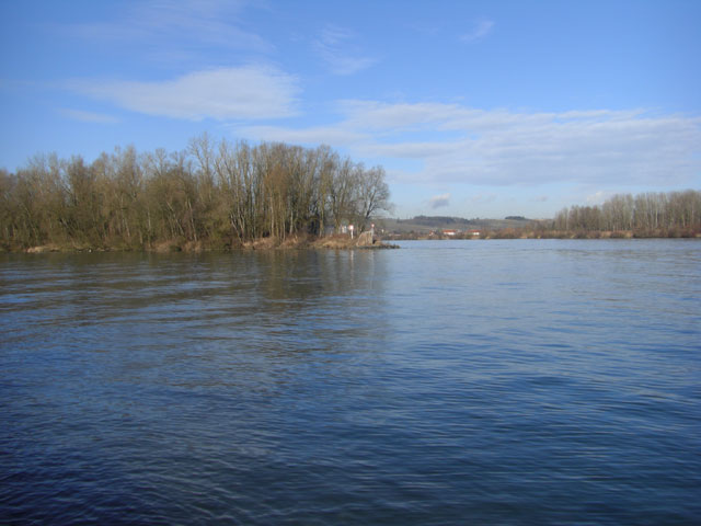 Angeln am Donau Schwandlwasser