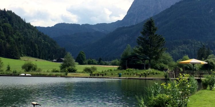 Fischteiche Schwendt