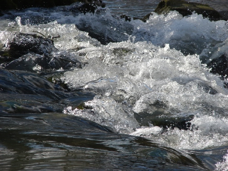 Traun Stammwasser (Kast-Wasser)