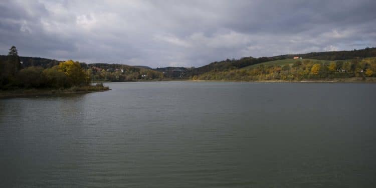 Wienerwaldsee - wienerwaldsee - 1 Wienerwaldsee