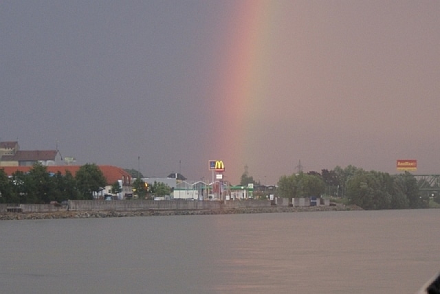 Angeln am Donau Wiesinger Wasser Enns