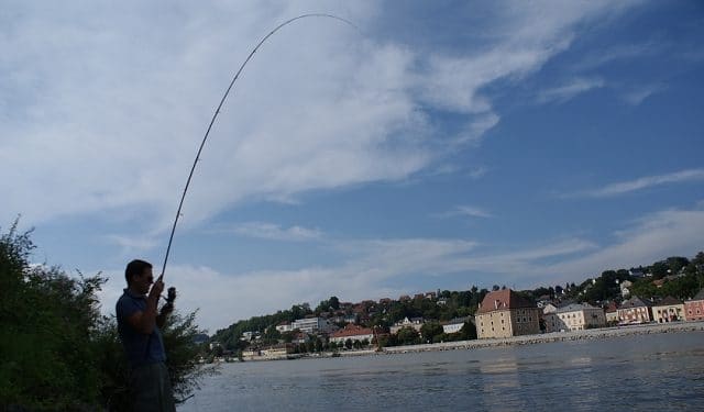 Donau Wiesinger Wasser Enns