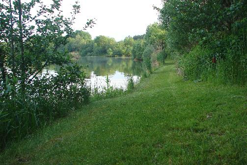 Hardy-Teich (Fischteich Wagner)