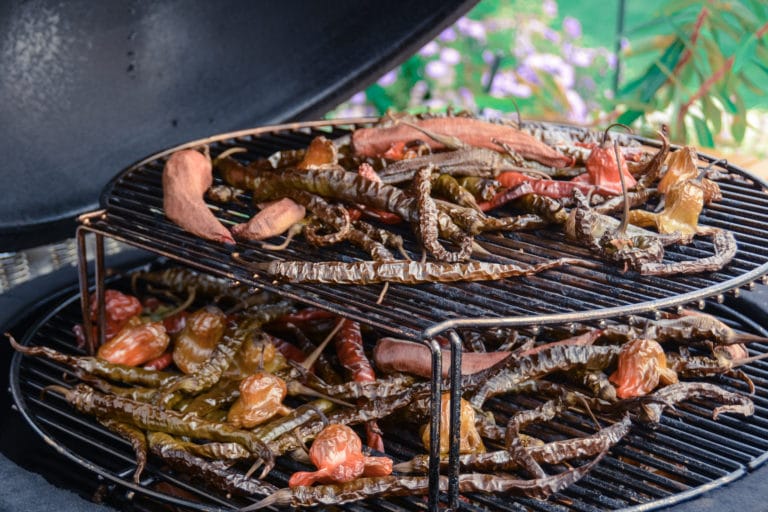 Chilis räuchern & trocknen im Smoker - DSC 7366 - 22