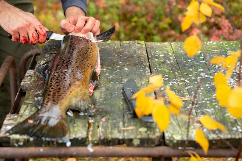 Fisch passt ebenfalls perfekt als Herbstrezept