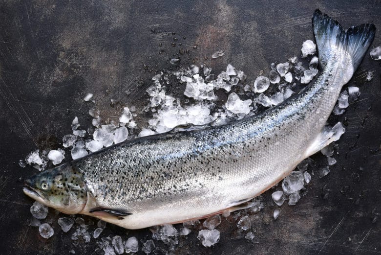 Frischer Lachs im Ganzen