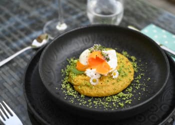 Wildkräuter Polenta mit pochiertem Ei - wildkraeuter polenta ei 04 1 - 8