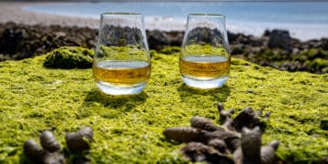 Die besten Whisky Destillerien auf der schottischen Insel Islay - whisky schottische inseln - 28 Die besten Whisky Destillerien auf der schottischen Insel Islay