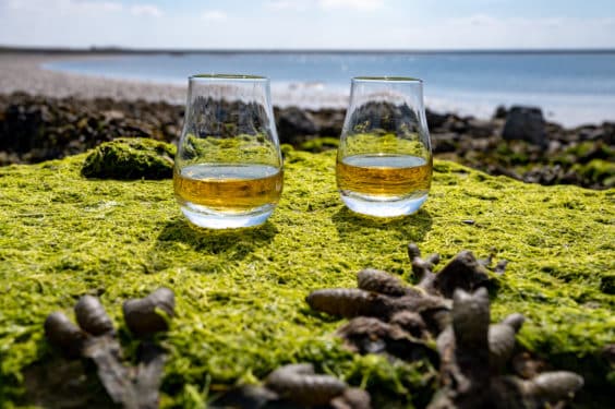 Die besten Whisky Destillerien auf der schottischen Insel Islay