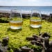Die besten Whisky Destillerien auf der schottischen Insel Islay - whisky schottische inseln - 67 Die besten Whisky Destillerien auf der schottischen Insel Islay