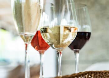 Weingläser – Die wichtigsten Weinglas-Typen 