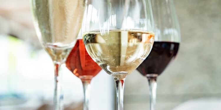 Weingläser – Die wichtigsten Weinglas-Typen 