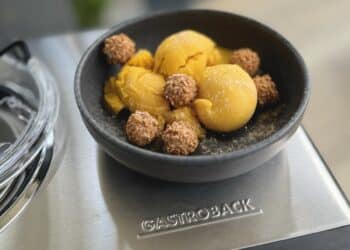 Die GASTROBACK Design Eismaschine Advanced Control