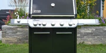 Der Weber SUMMIT FS38 E Gasgrill  - weber summit fs38e 04 - 29 Der Weber SUMMIT FS38 E Gasgrill